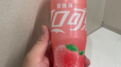 cad3bb50-44bd-5dbe-aa18-d49d4139c259封面
