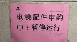 b2be03bf-367b-5e90-bc8d-5232328e51b8封面